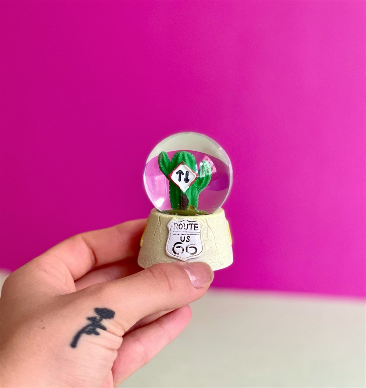 Yönlendirici Kaktüs Mini Kar KüresigiftmodaGM-4248