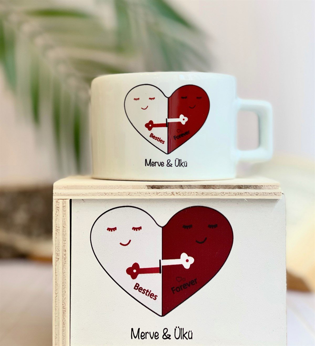 Kişiye Özel Best Friends Forover Tasarımlı Kutulu KupaGiftmodaGmkp100074