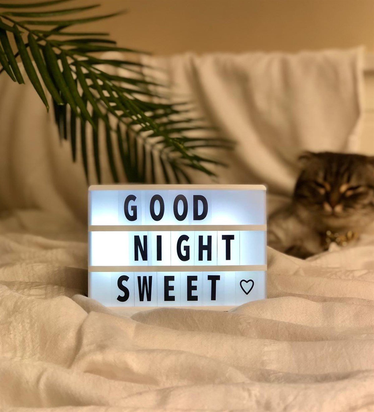 Mini Light BoxGiftmodaGM-2025