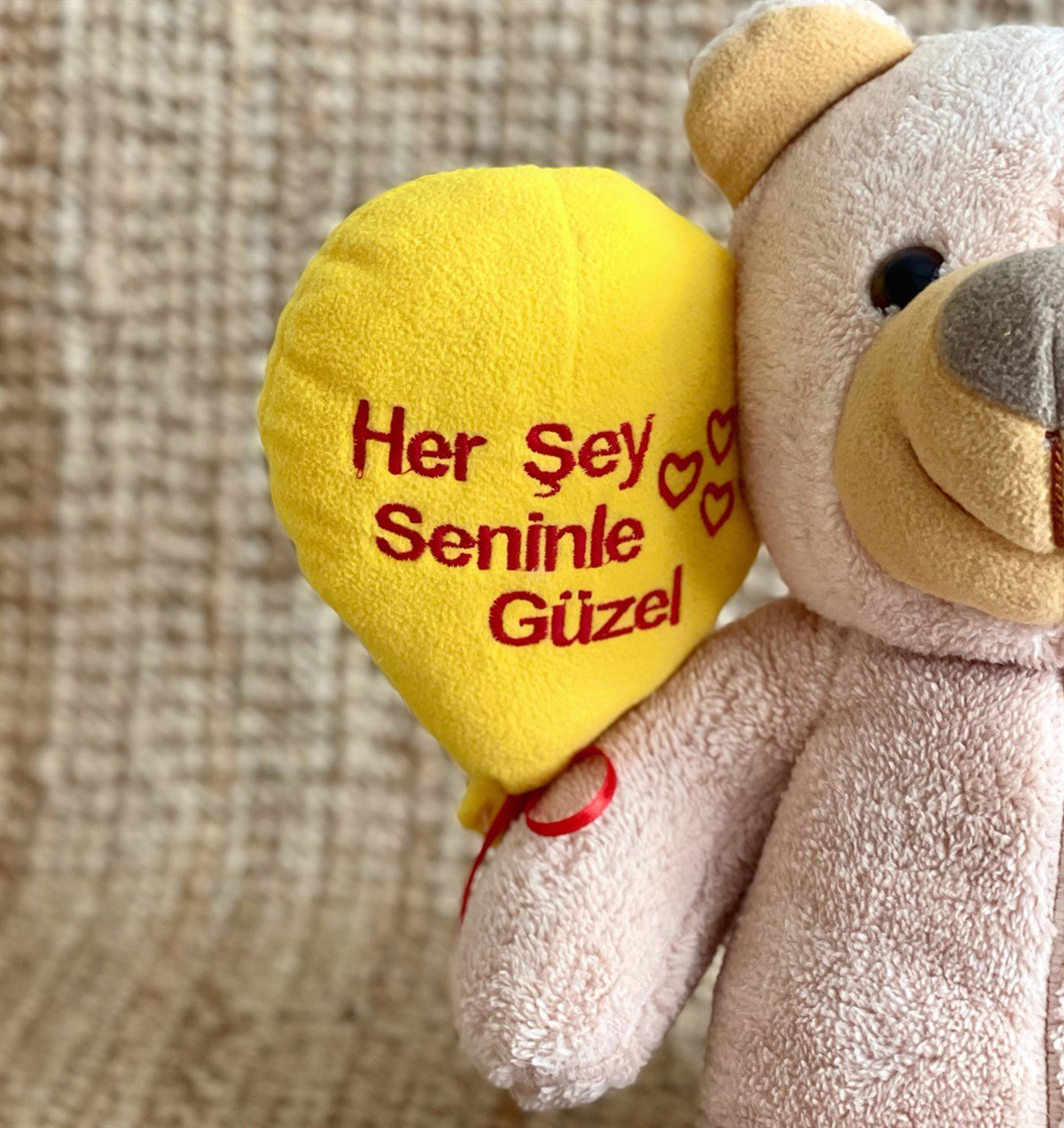 Herşey Seninle Güzel Tasarımlı Peluş AyıcıkGiftmodaGmpl00002