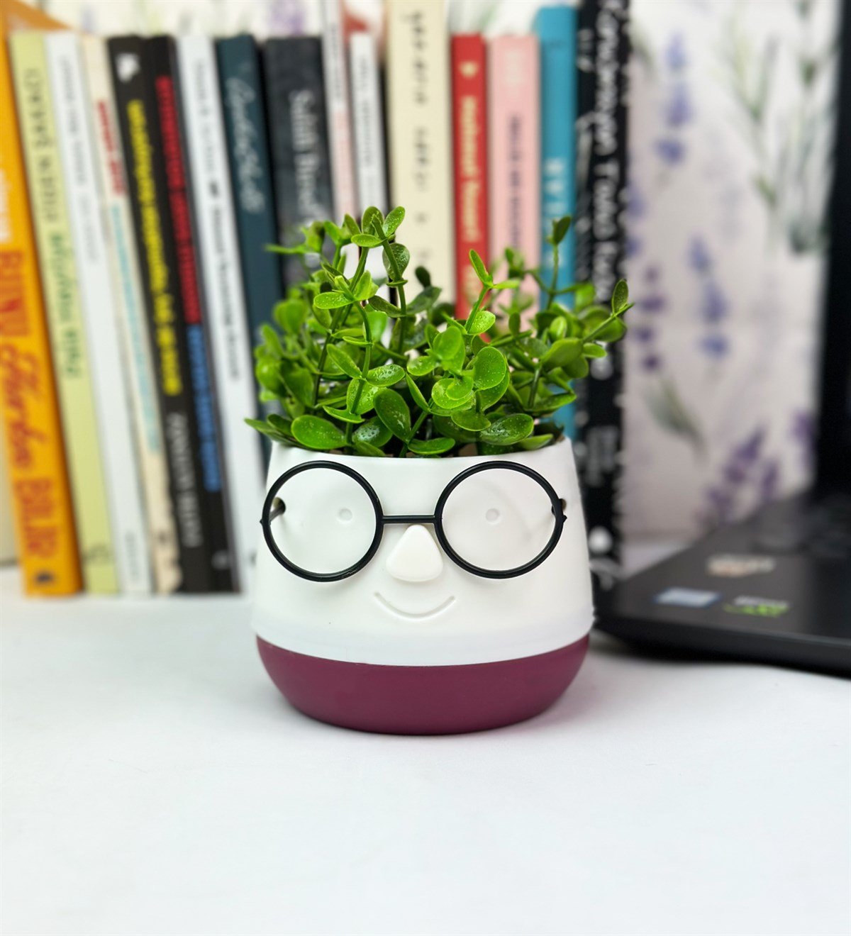 Profesör Çim Adam Tasarımlı Yapay ÇiçekgiftmodaGmc10004