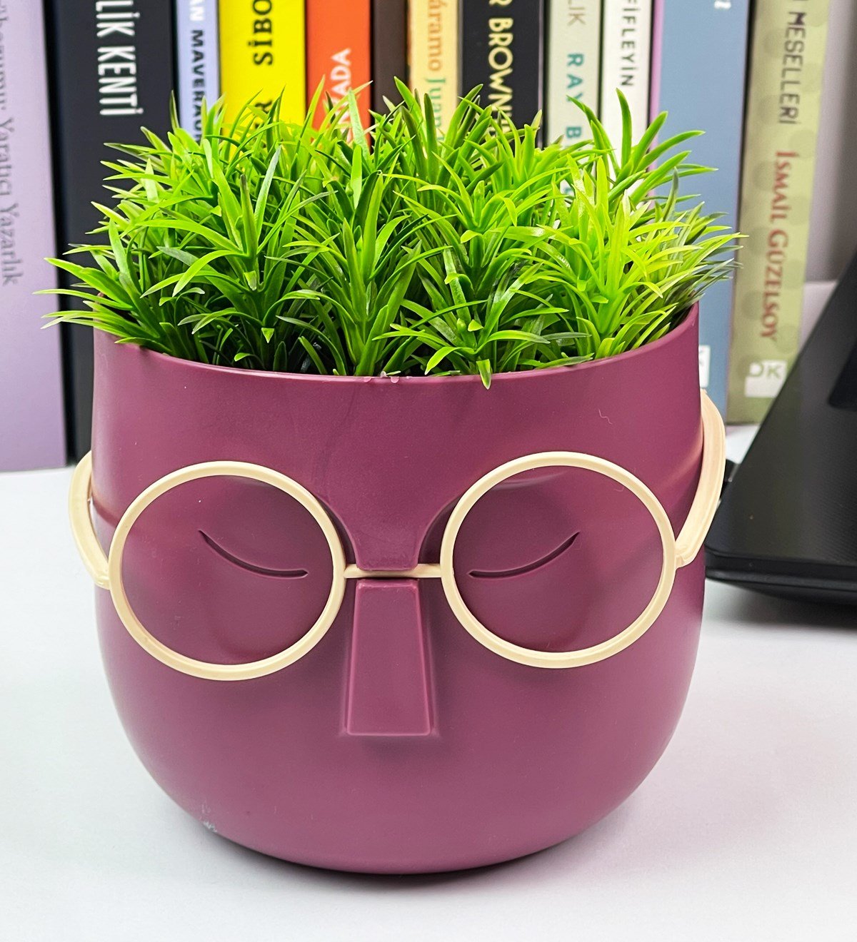 Profesör Çim Adam Tasarımlı Yapay ÇiçekgiftmodaGmc10001