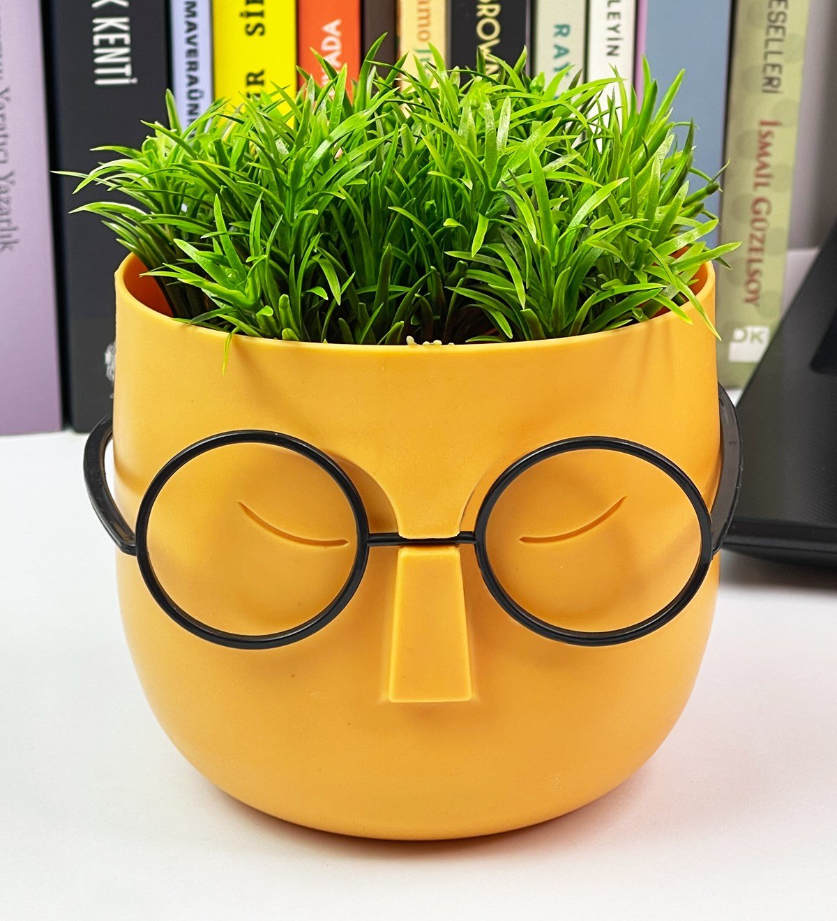 Profesör Çim Adam Tasarımlı Yapay ÇiçekgiftmodaGmc10001