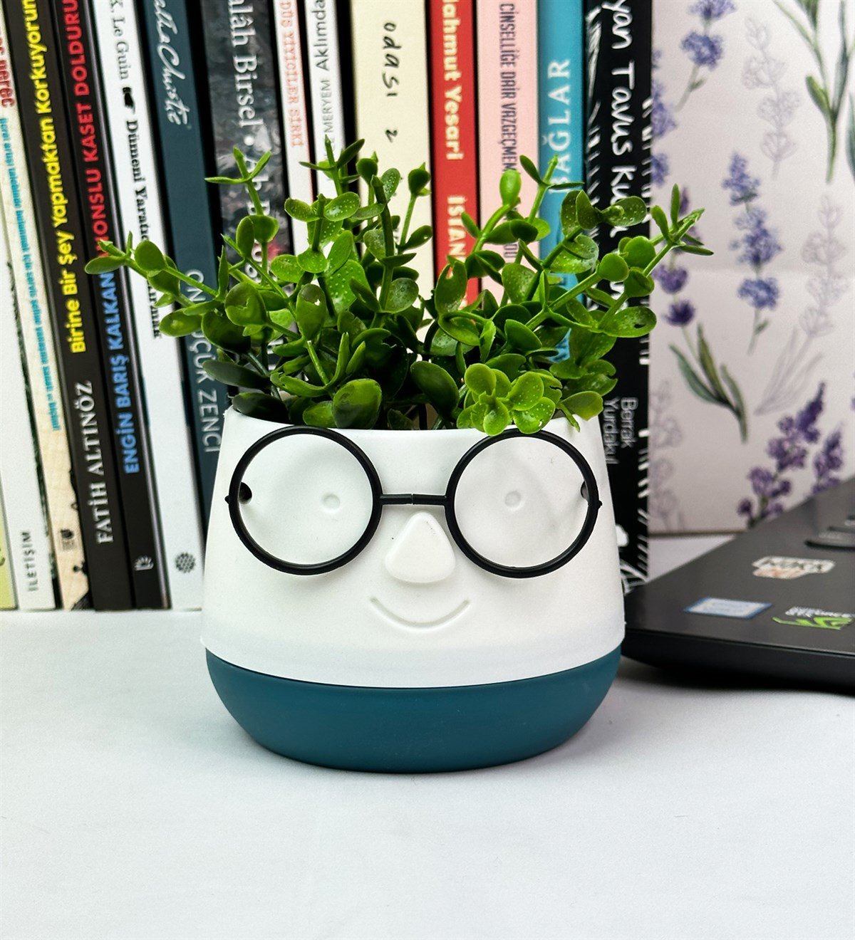 Profesör Çim Adam Tasarımlı Yapay ÇiçekgiftmodaGmc10004