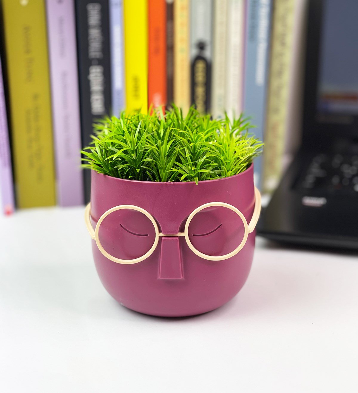 Profesör Çim Adam Tasarımlı Yapay ÇiçekgiftmodaGmc10001