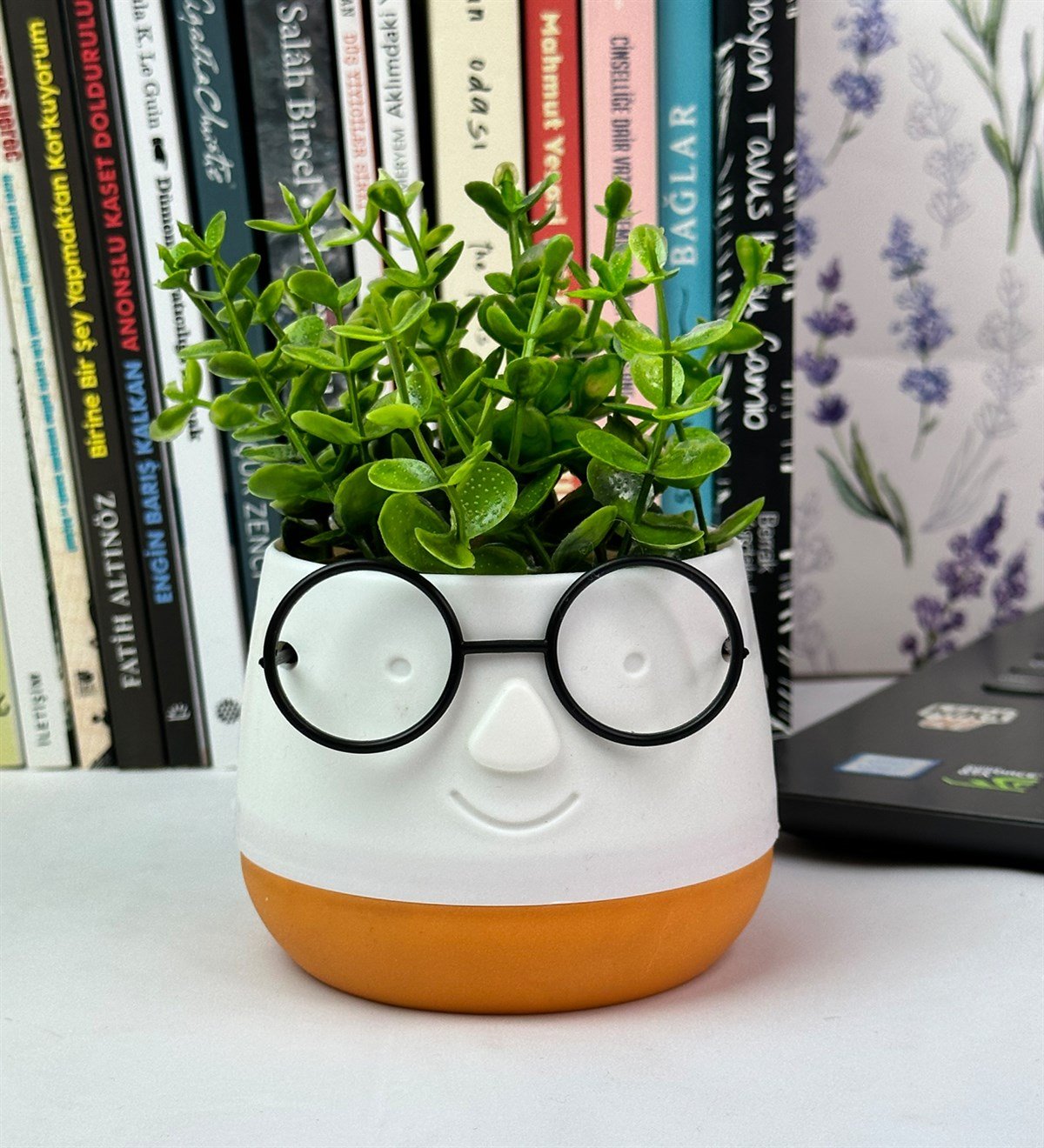 Profesör Çim Adam Tasarımlı Yapay ÇiçekgiftmodaGmc10004