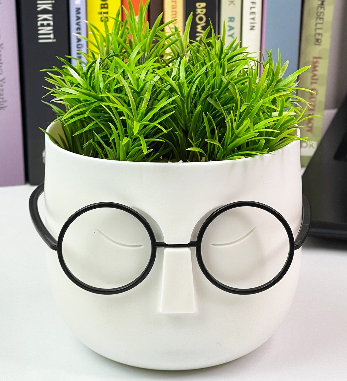 Profesör Çim Adam Tasarımlı Yapay ÇiçekgiftmodaGmc10001