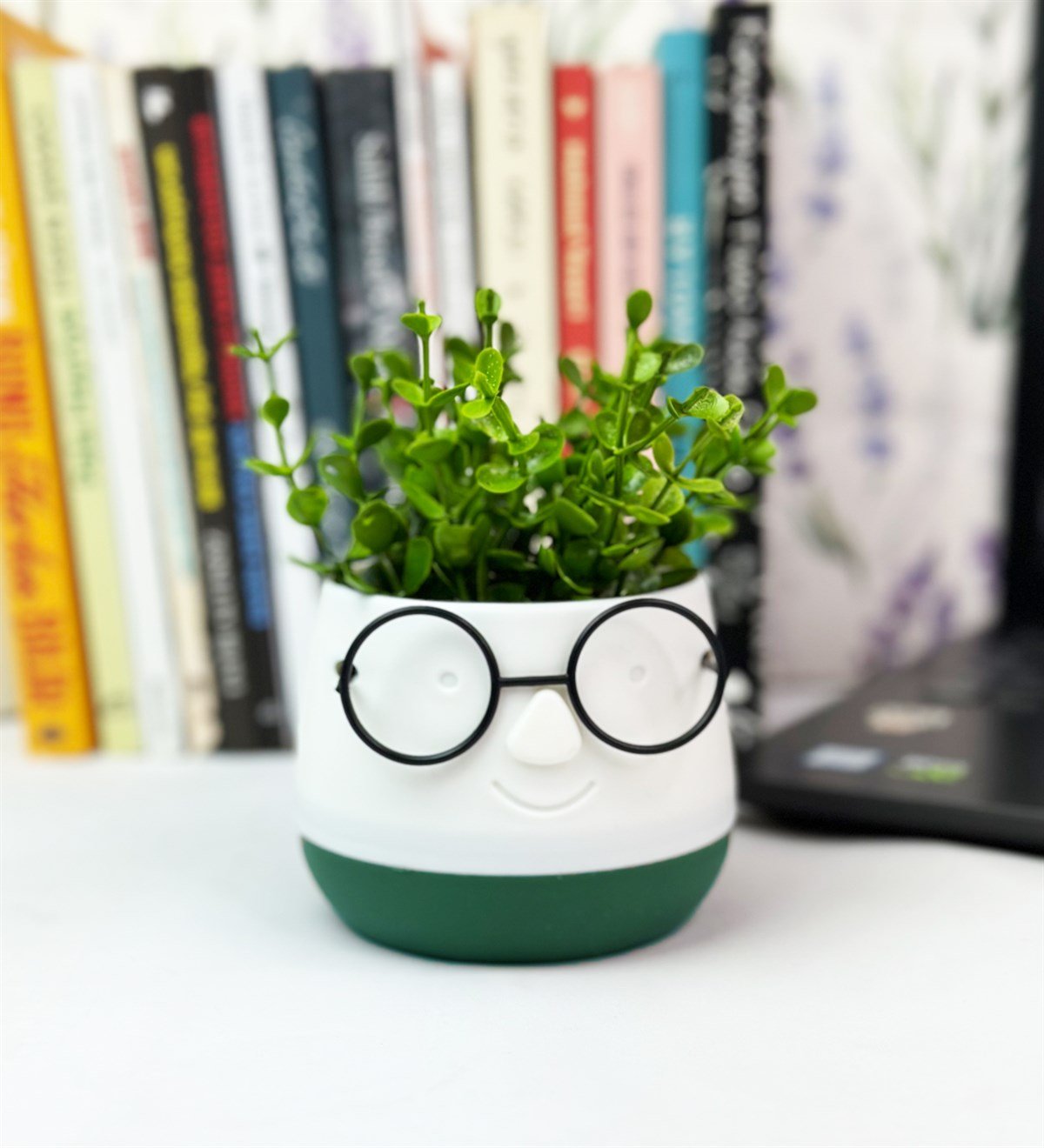 Profesör Çim Adam Tasarımlı Yapay ÇiçekgiftmodaGmc10004