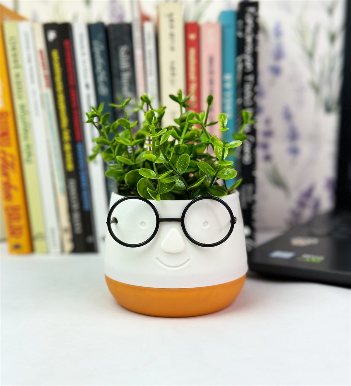 Profesör Çim Adam Tasarımlı Yapay ÇiçekgiftmodaGmc10004