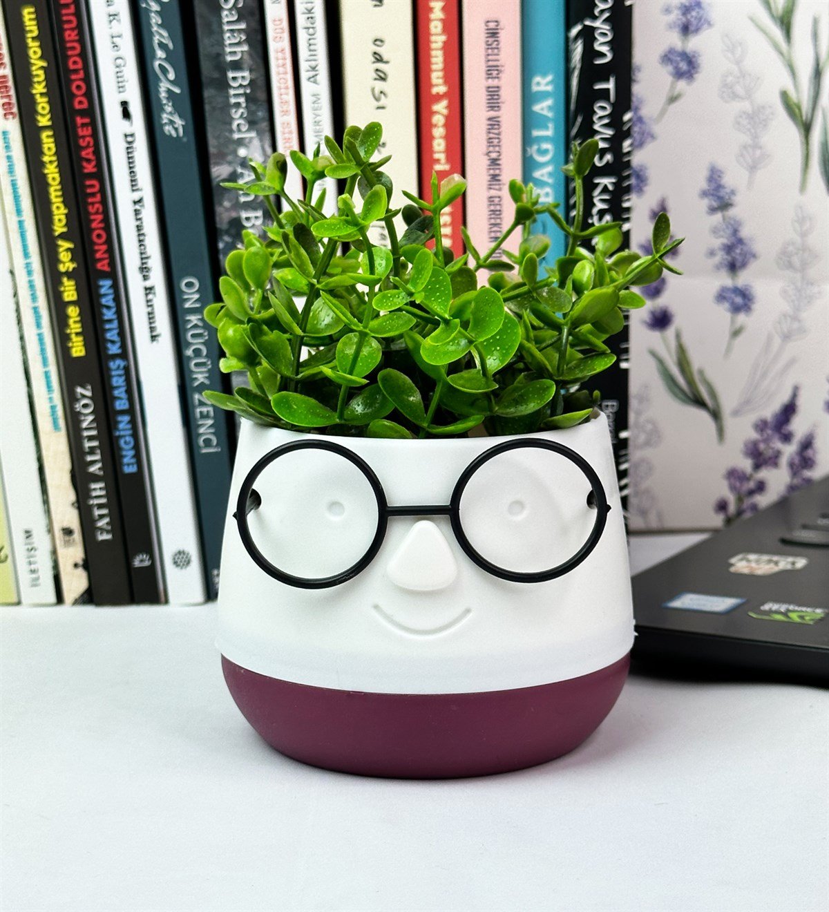 Profesör Çim Adam Tasarımlı Yapay ÇiçekgiftmodaGmc10004