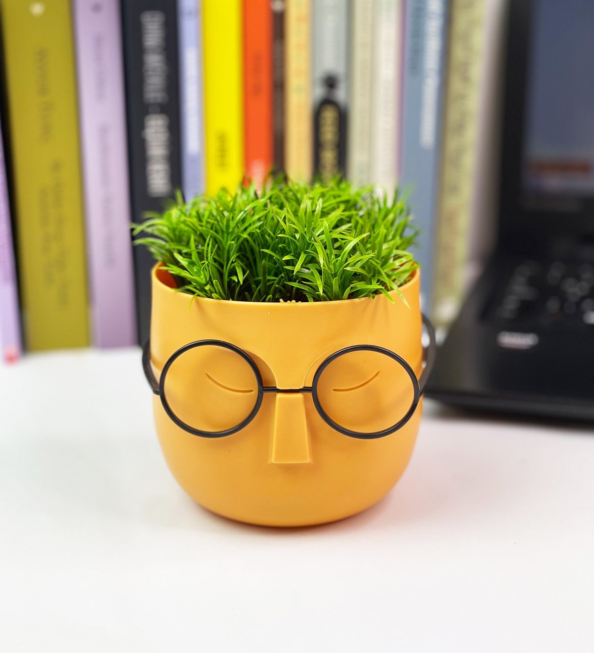 Profesör Çim Adam Tasarımlı Yapay ÇiçekgiftmodaGmc10001