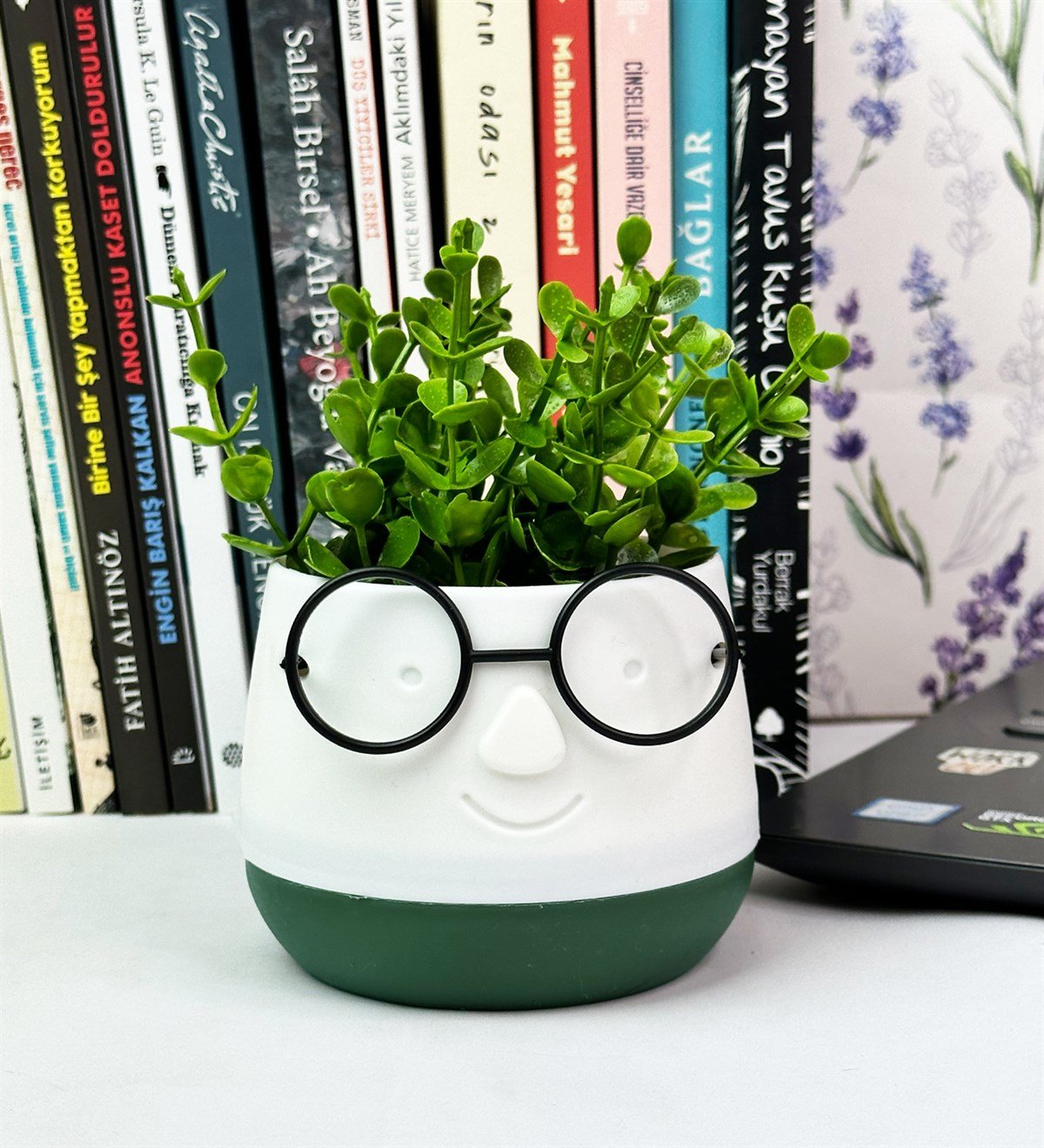 Profesör Çim Adam Tasarımlı Yapay ÇiçekgiftmodaGmc10004