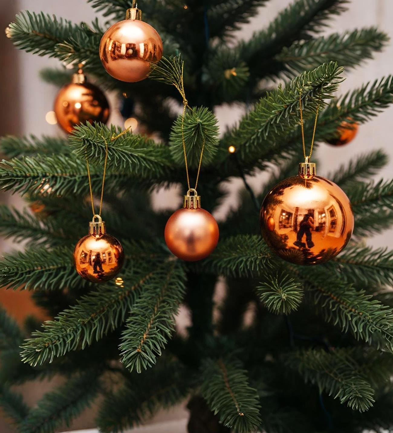 Yılbaşı Ağaç Süsü Seti – 20 Parça (3 Boyut, Hediye Kutulu)giftmodaBM-1758	