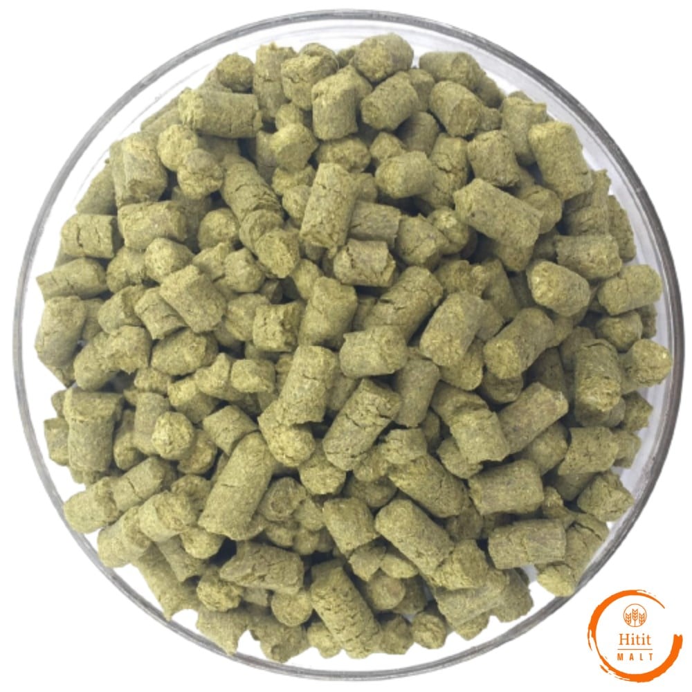 Stout Tam Tahıl Malt Seti