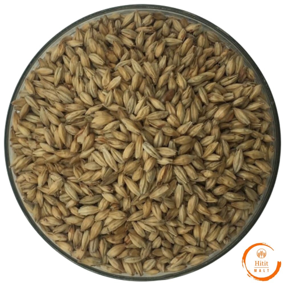 Stout Tam Tahıl Malt Seti
