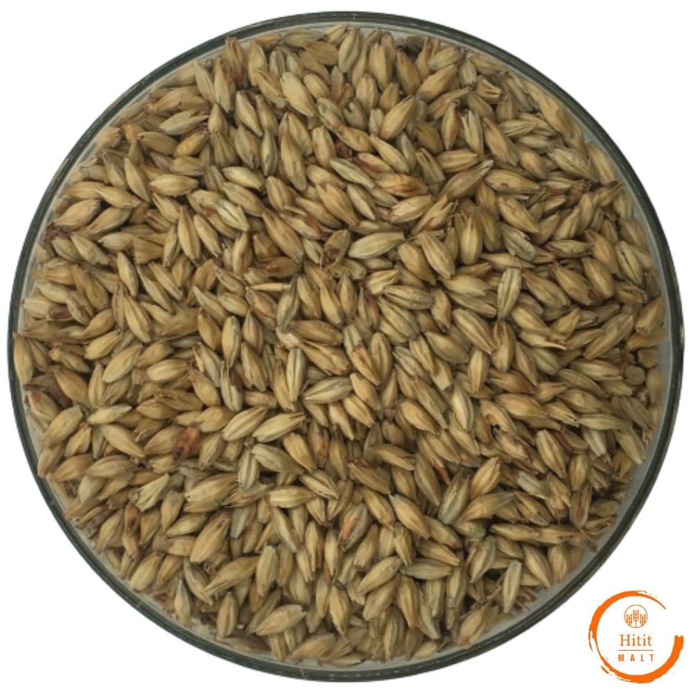 Stout Tam Tahıl Malt Seti