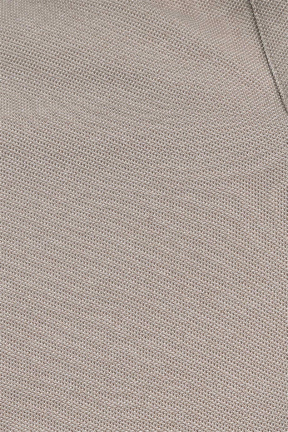 Erkek Polo Yaka Klasik Fit Gizli Düğme Pamuklu Tişört