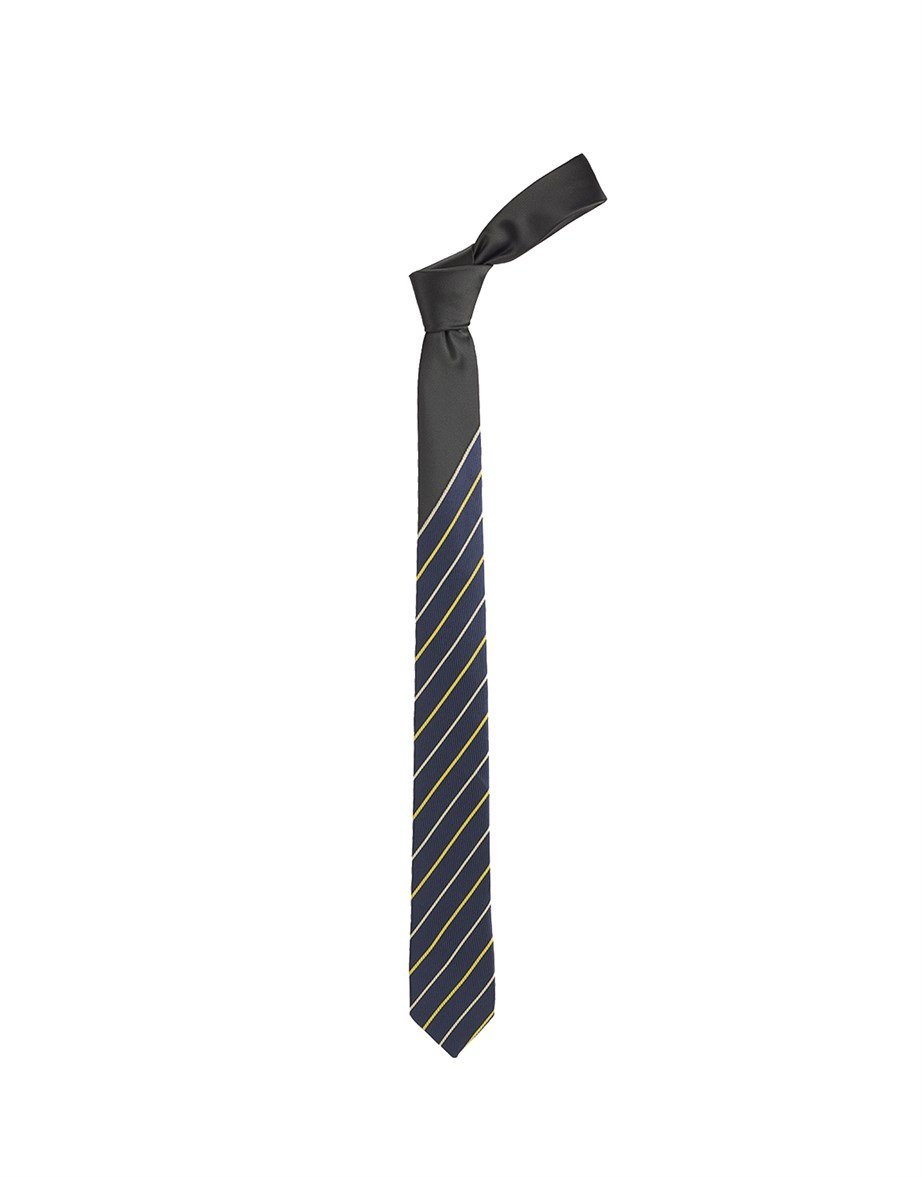 TIE MOTIF PANEL-   KRAVAT TIE
