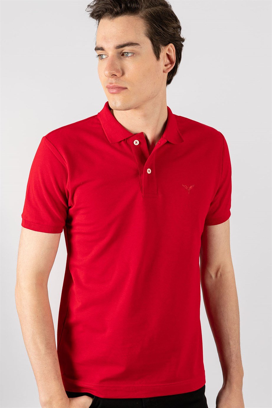 Slim Fit Dar Kesim Düz Polo Yaka Erkek T-Shirt