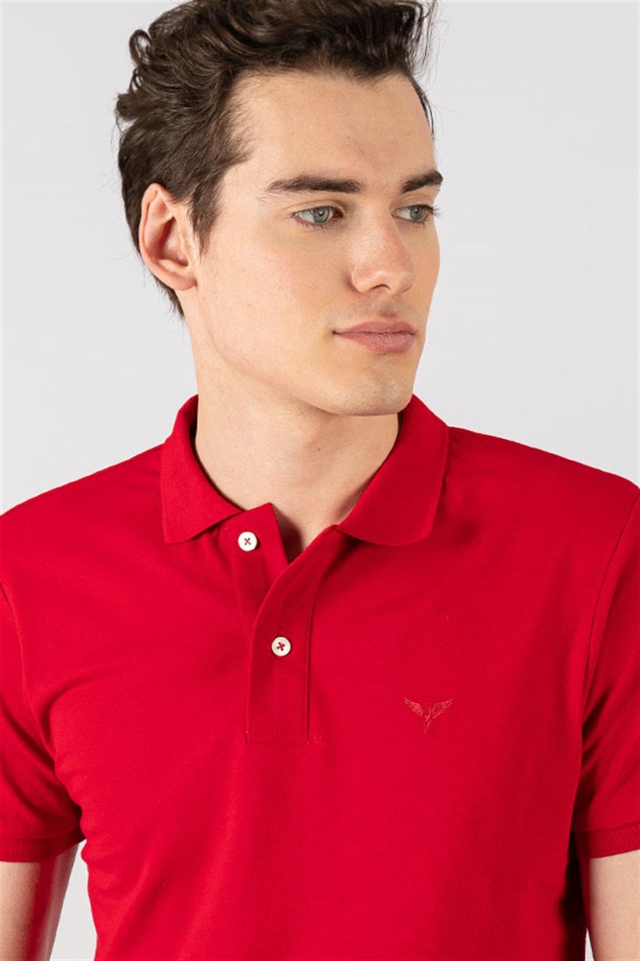 Slim Fit Dar Kesim Düz Polo Yaka Erkek T-Shirt