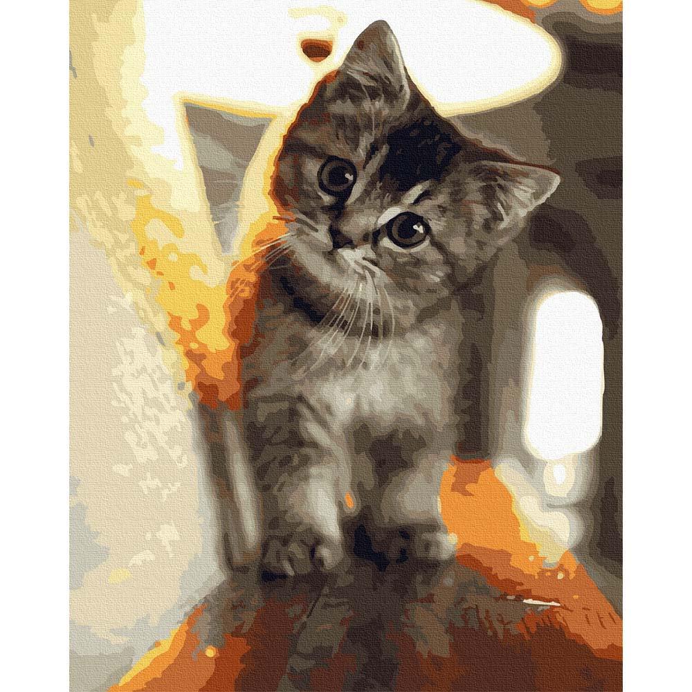 Şefkatli Kedicik Tuvale Gerili Sayılarla Boyama Hobi Seti 40x50 cm