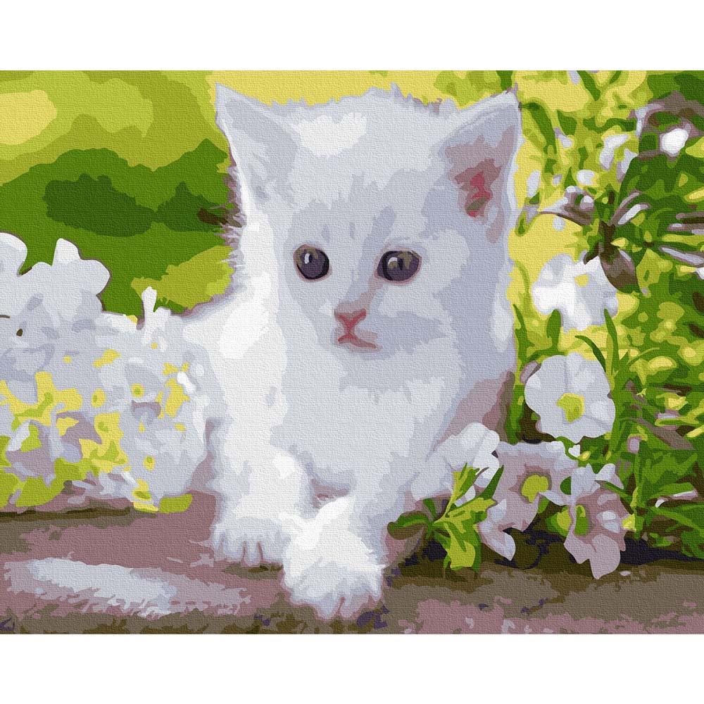 Yavru Kedi Tuvale Gerili Sayılarla Boyama Hobi Seti 40x50 cm