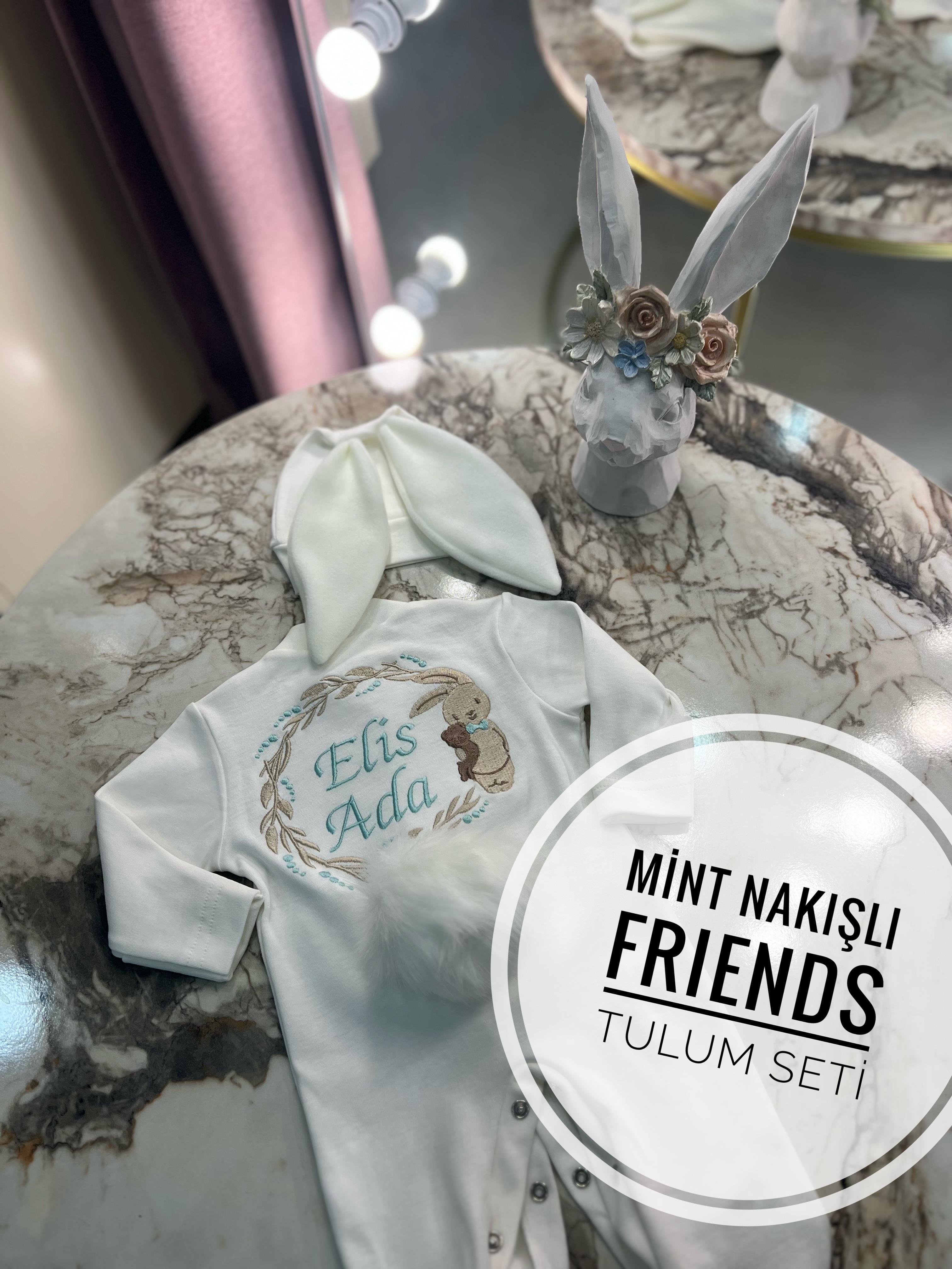 Friends Nakışlı Tavşan Hastane Çıkış Seti