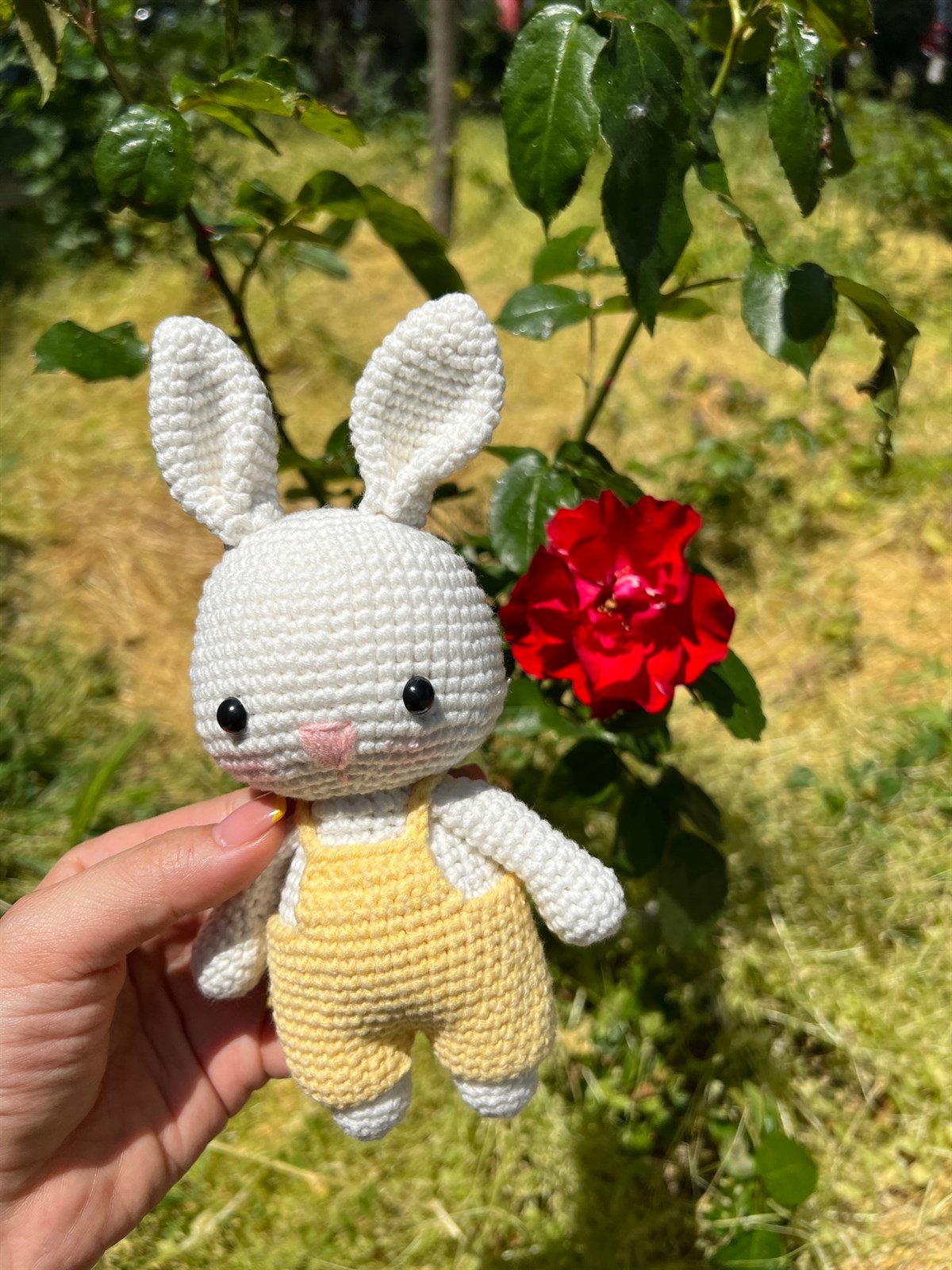 Rabbit Amigurumi Oyuncak