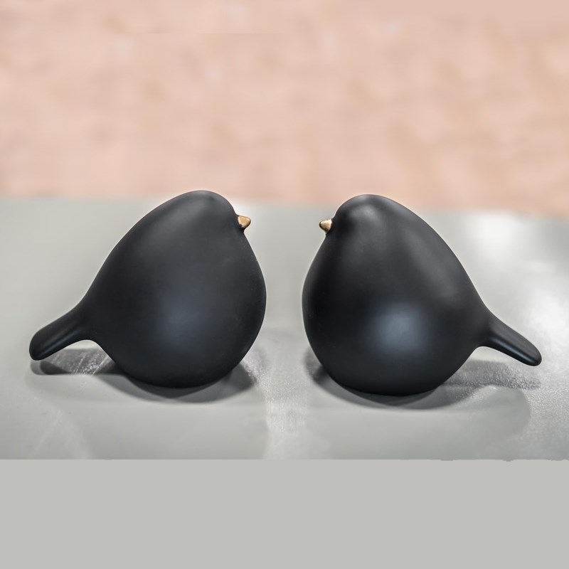 2'li Tombik Kuş Siyah - Kare Home