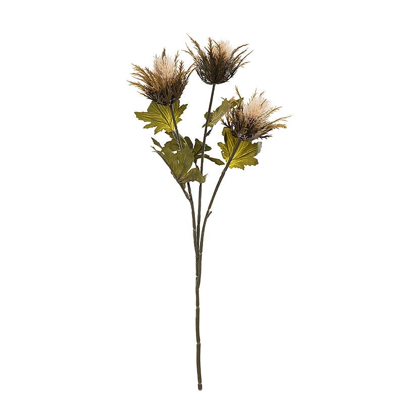 Deve Dikeni Bej 67 cm - KUK