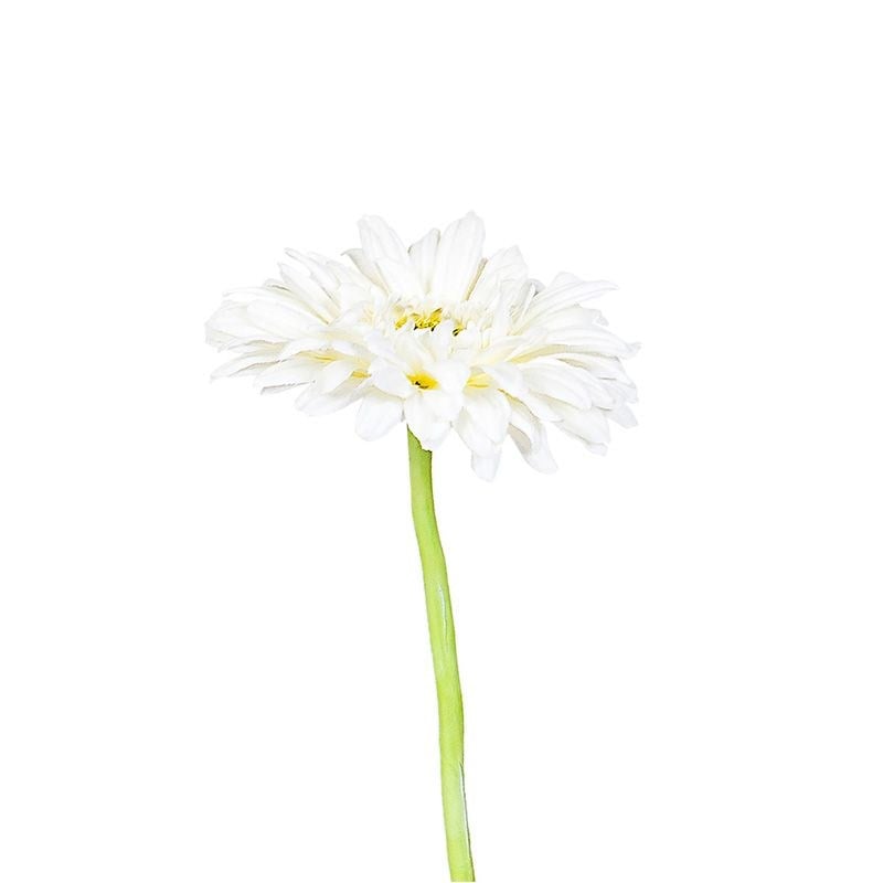 Kuk Tek Dal Gerbera Beyaz 63 cm