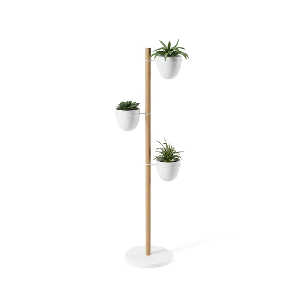 Umbra Floristand Saksı, Bağımsız Bitki Depolama, Beyaz/Doğal - Umbra