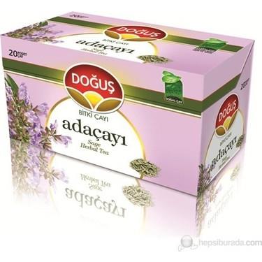 Doğuş Adaçayı 20'li