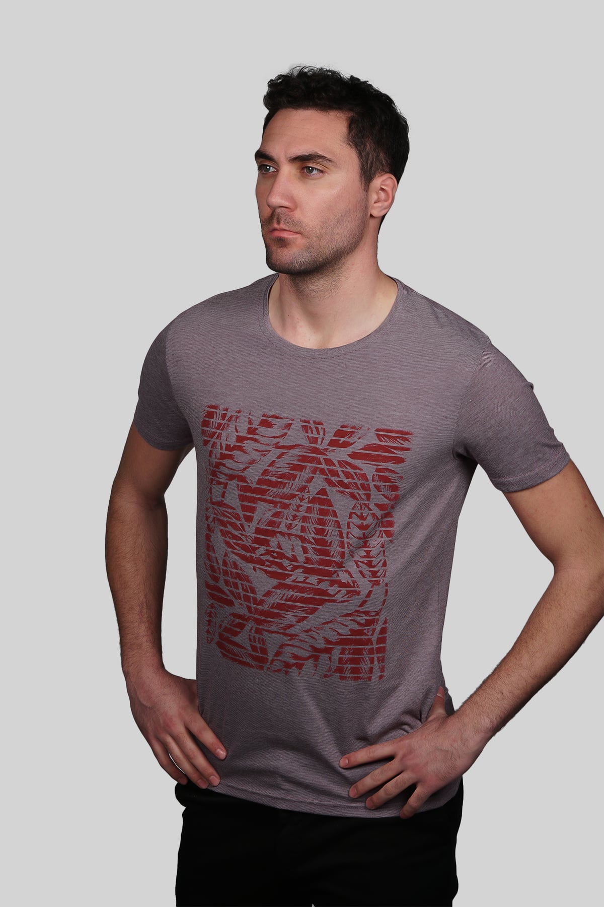 Mürdüm Slim Fit Tişört