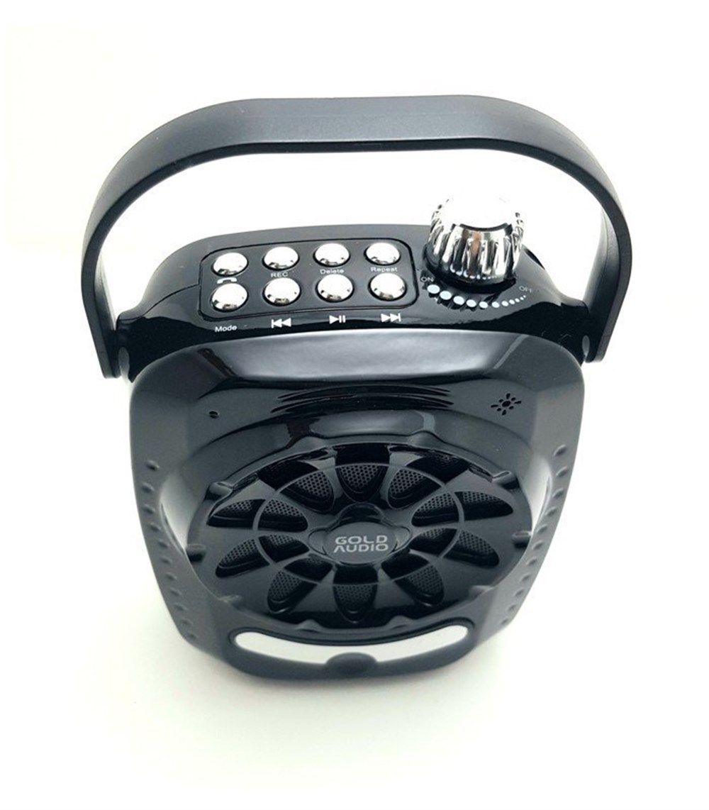 GOLD AUDIO GR-11 KABLOSUZ MİKROFONLU BLUETOOH HOPARLOR