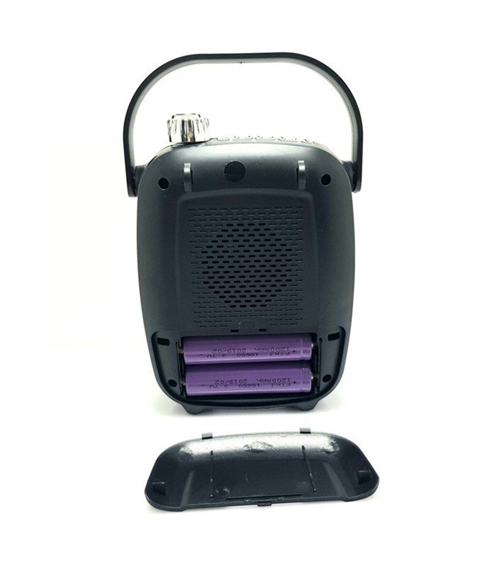 GOLD AUDIO GR-21 MİKROFONLU BLUETOOH HOPARLOR