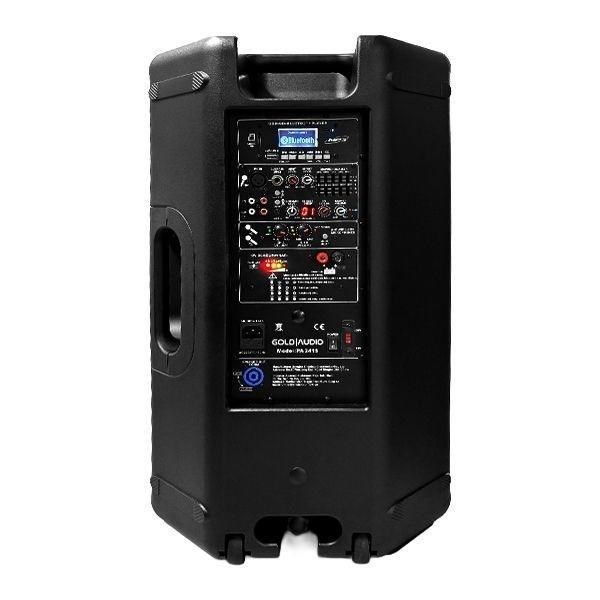 GOLD AUDIO PA 2412 EE 12 İNÇ 250W ÇİFT EL MİKROFONLU TAŞINABİLİR HOPARLÖR