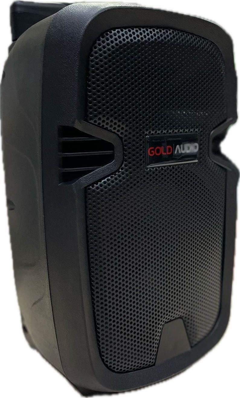 GOLD AUDİO PA-8810E 10İNÇ 100 WATT TEK EL TELSİZ MİKROFONLU TAŞINABİLİR HOPARLÖR