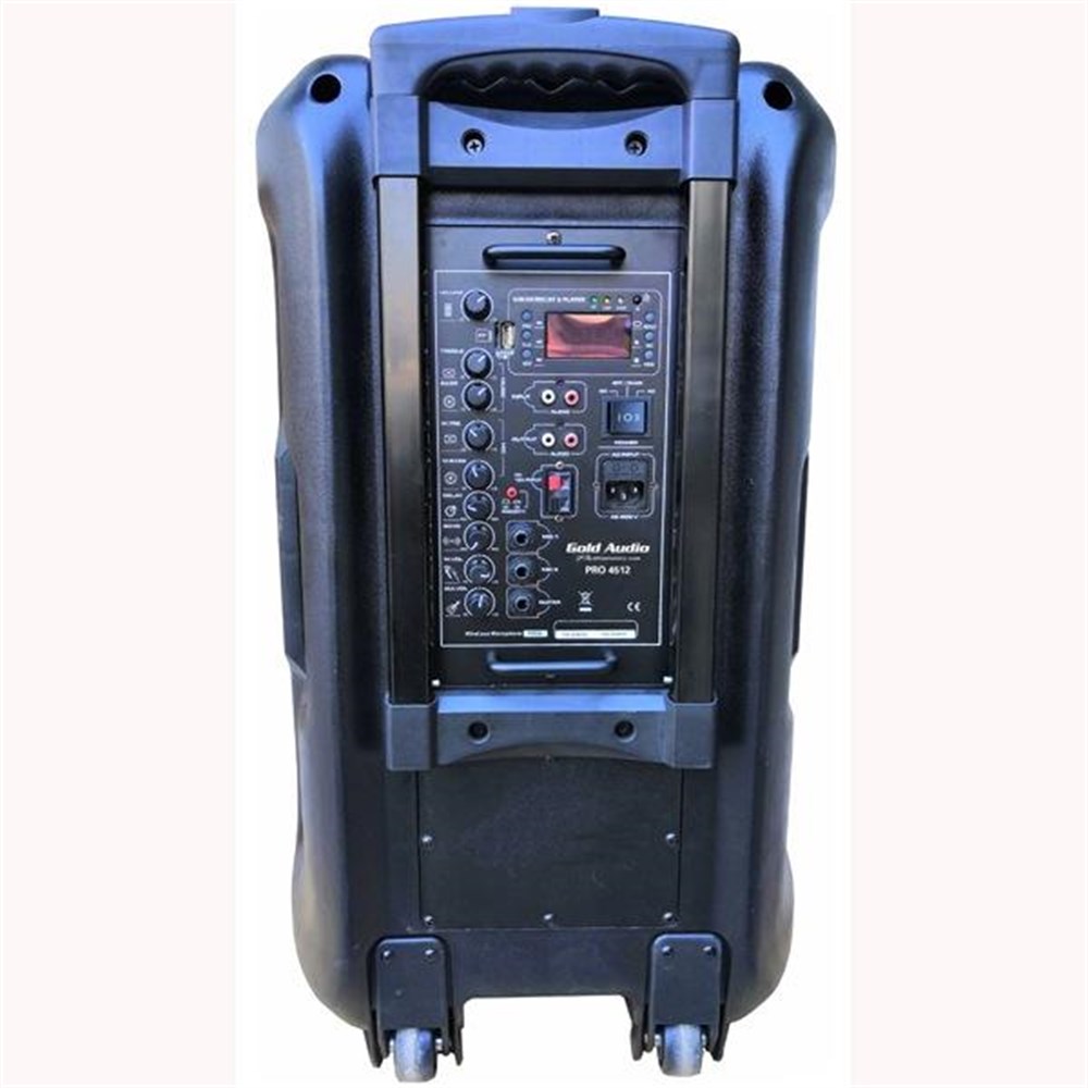 GOLD AUDIO PRO-5412EE ÇİFT TELSİZ 15İNÇ TAŞINABİR 38CM BLUETOOH HOPARLOR