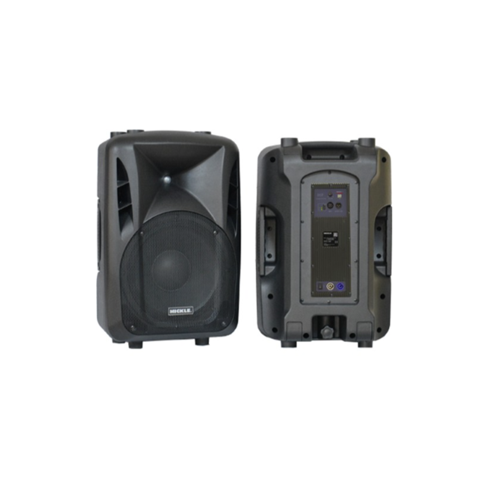MICKLE DAS712A 12 İNÇ 800W AKTİF 2 YOLLU PP KABİN