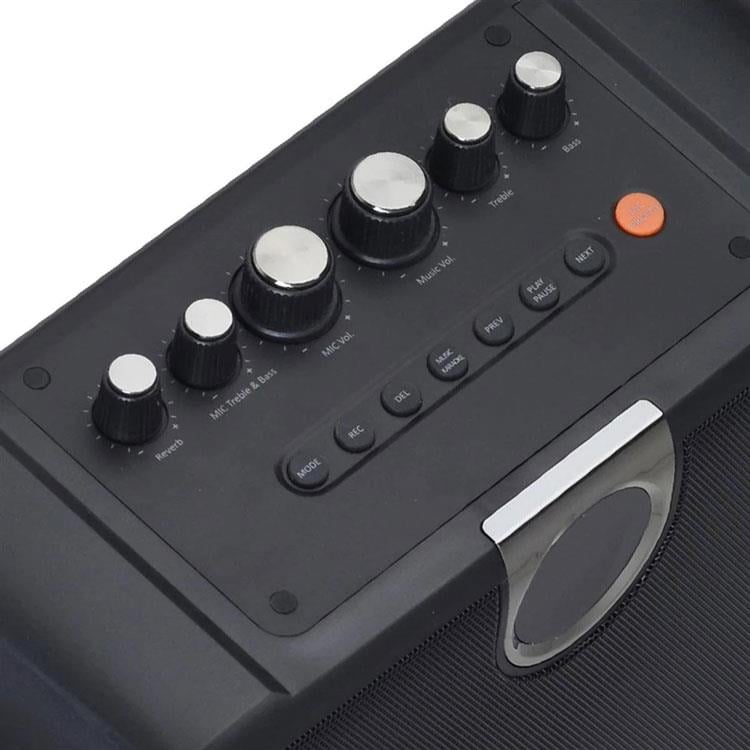 WÖLLER W-610E 100 WATT TEK EL TELSİZLİ TAŞINABİLİR HOPARLÖR