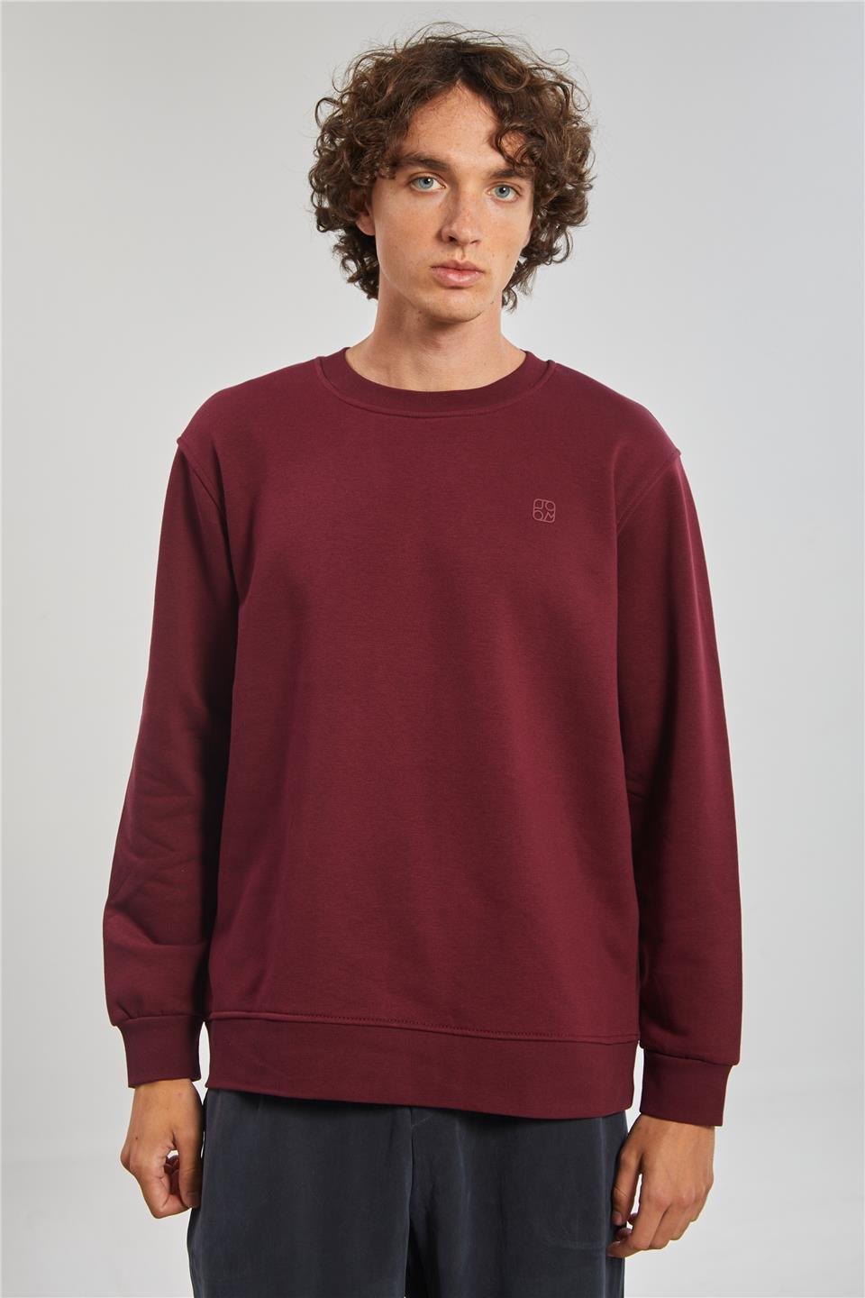 Bisiklet Yaka Logolu Erkek Sweatshirt - Bordo