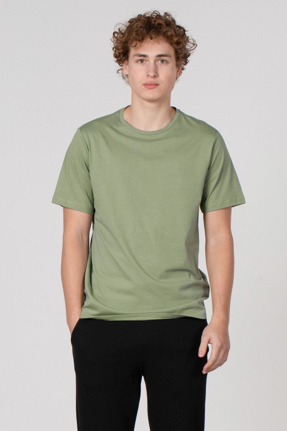 Bisiklet yaka regular fit t-shirt-2020 Elma