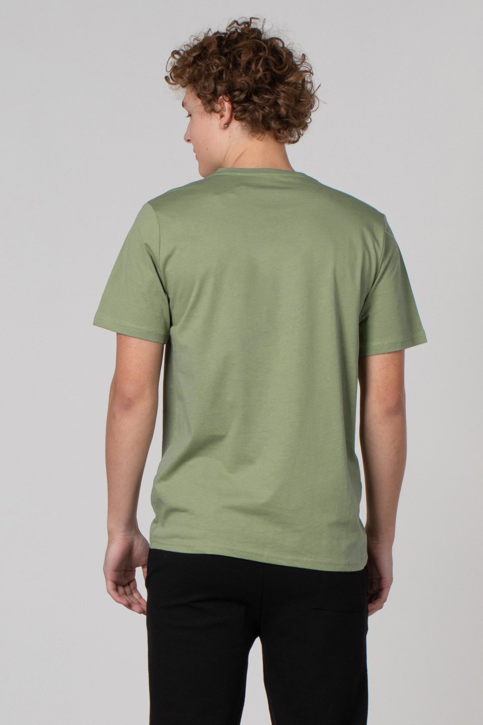 Bisiklet yaka regular fit t-shirt-2020 Elma