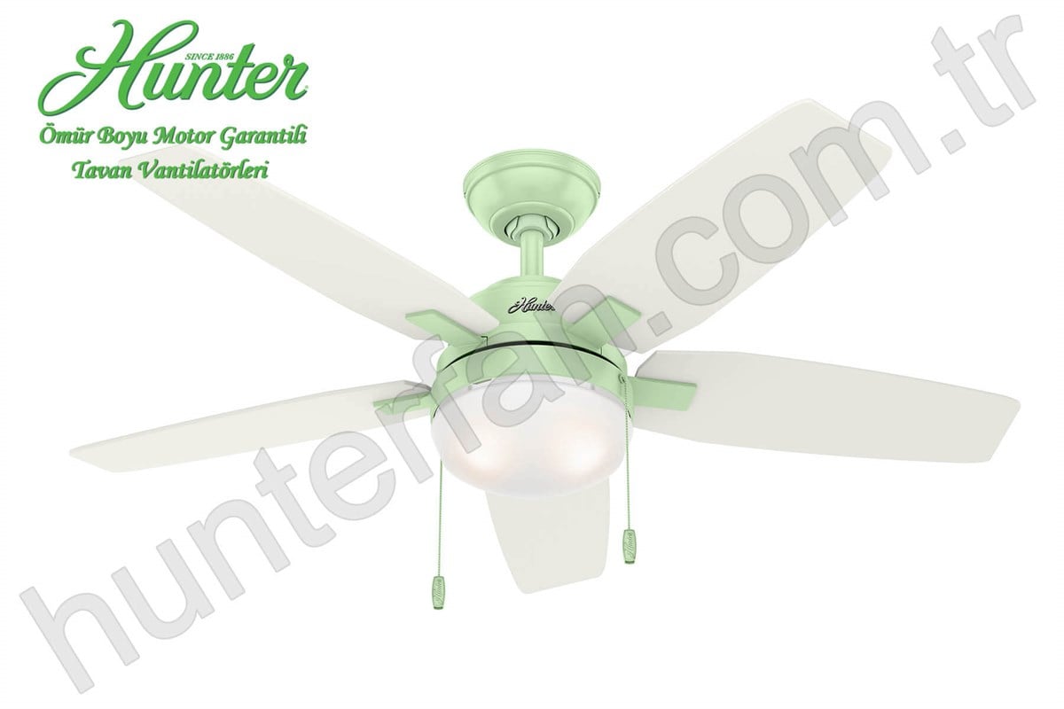 Arcot Pastel Yeşil - 117 Cm. Aydınlatmalı Tavan VantilatörüHunterFan