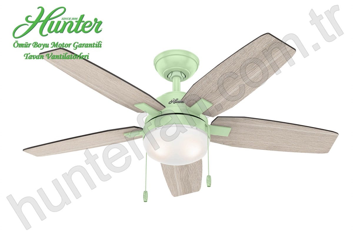 Arcot Pastel Yeşil - 117 Cm. Aydınlatmalı Tavan VantilatörüHunterFan