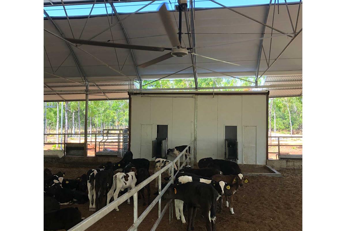 TITAN - 610 Cm. Çapında Endüstriyel Geniş Alan Tavan VantilatörüHunterFan