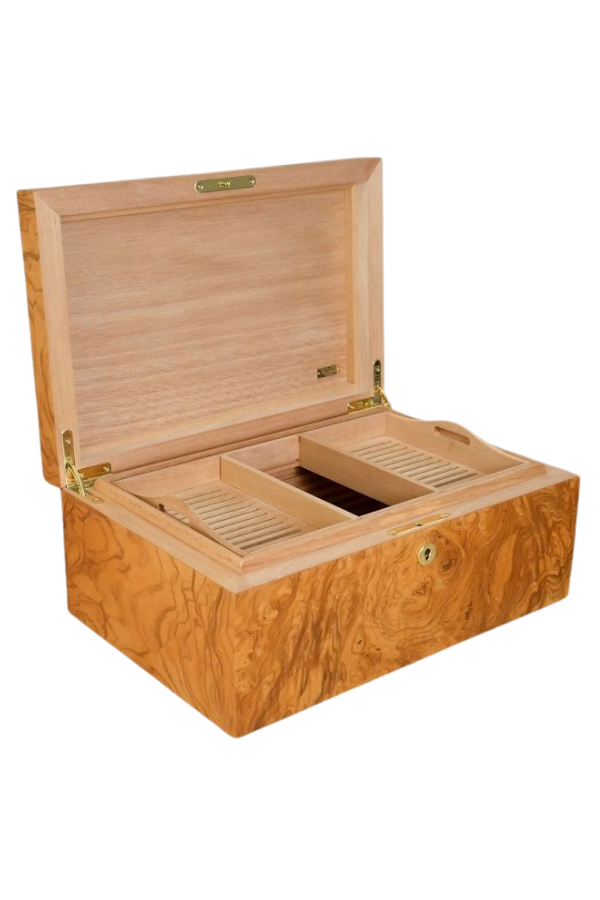 TR10014,Adorini Olive Ash Burl Grande Sedir Humidor Puro Kutusu