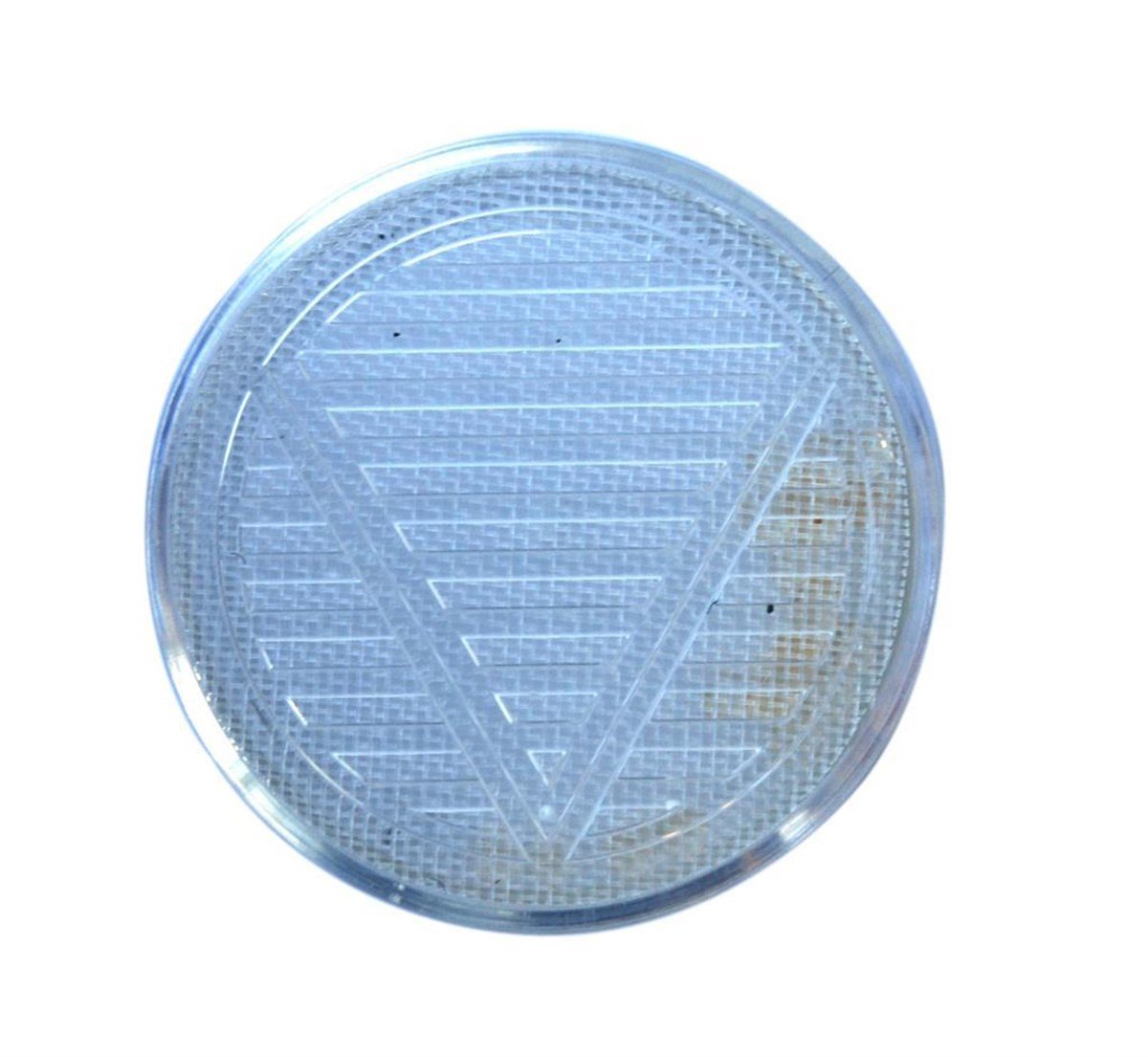 TR1956,PQ Şeffaf Puro Nemlendirici