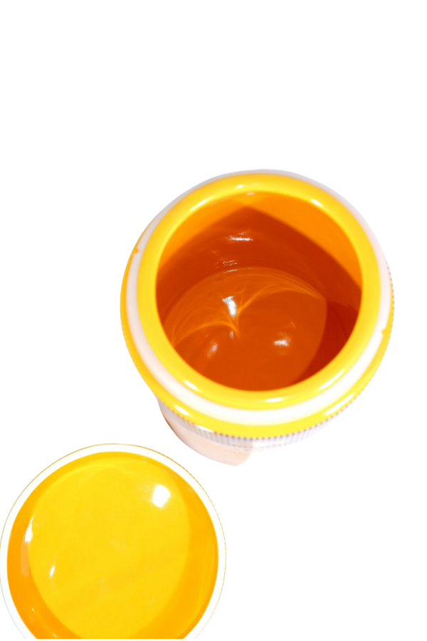 TR9087,Cohiba Sarı Nokta Desenli Puro Saklama Kutusu Jar